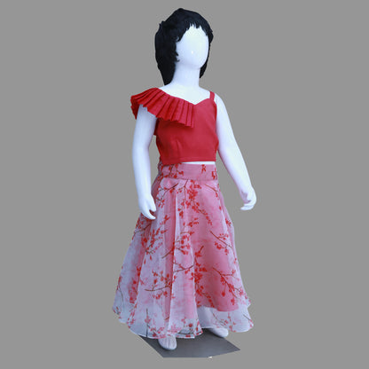 Baby Girl Pink Organza Top & Skirt | S3GD